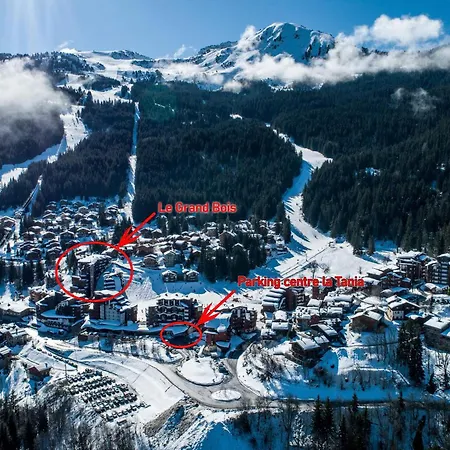 La Tania 2 Pieces, 4 Pers, Aux Pieds, Balcon, Grand Bois - Fr-1-182a-15 Apartment Courchevel